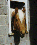 m_4994352875e7cce1e0078eba244a2e54.gif
